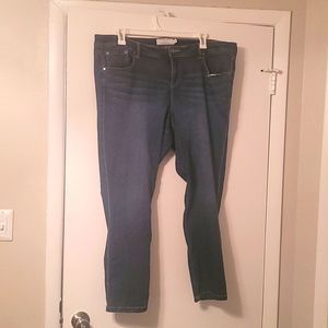 Torrid Luxe Skinny Jeans